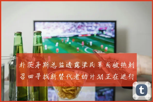 朴茨茅斯总监透露梁民革或被热刺召回寻找新替代者的计划正在进行中