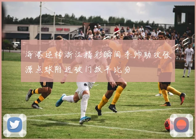 海港逆转浙江精彩瞬间李帅助攻张源点球附近破门扳平比分